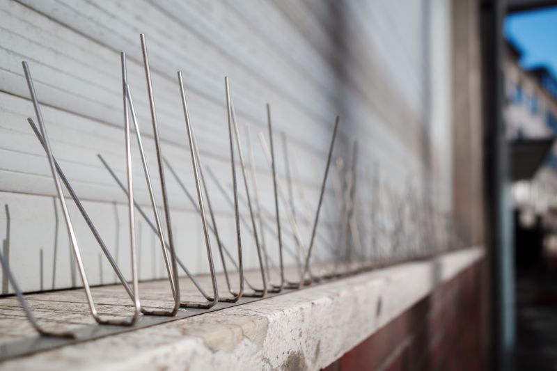 Local Bird Spikes Installation pros at work