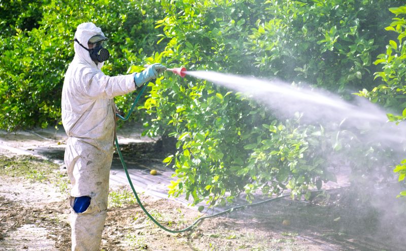 Commercial Fumigation in Wilmington, NC