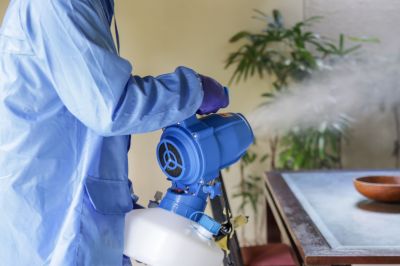 Fumigation Service in Gwinnett County, GA