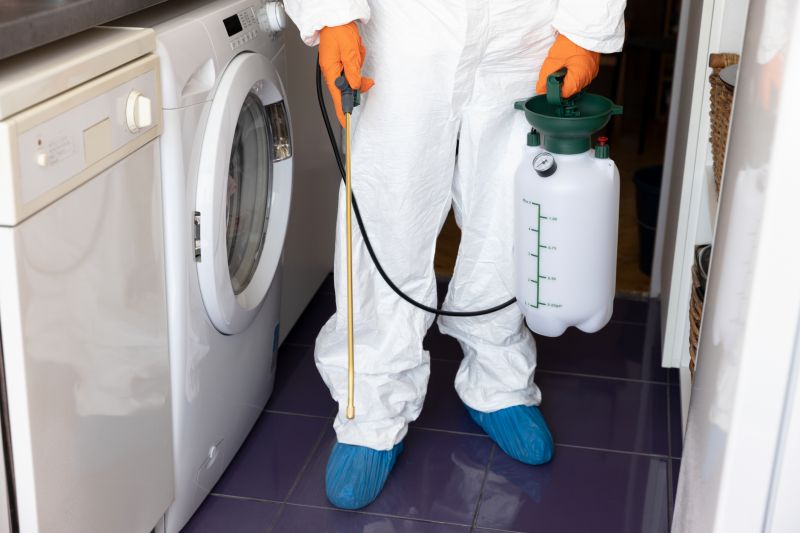 Pest Management Service in Katy, TX