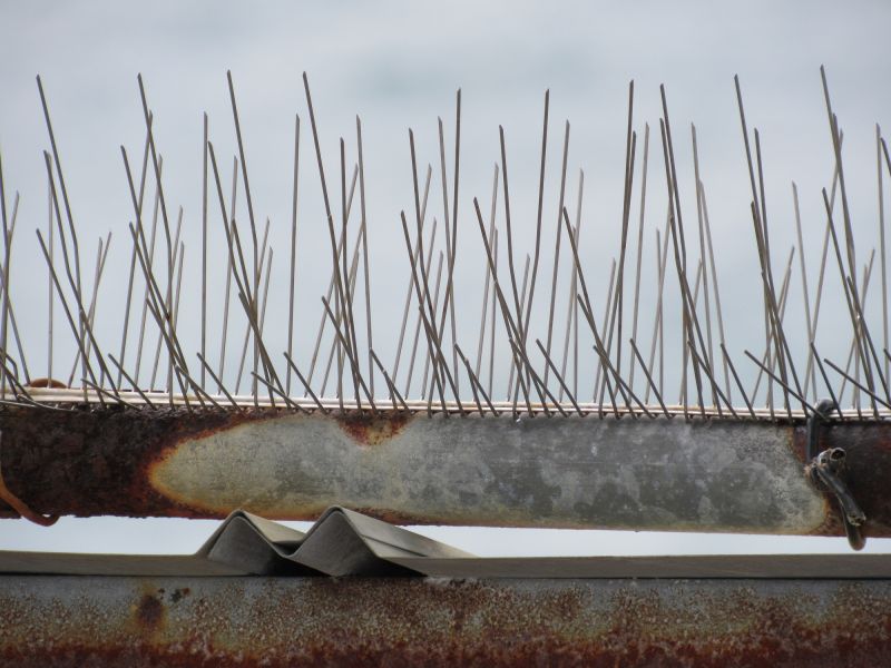 Bird Spike Material Close-up