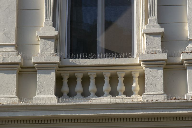 Cost of Bird Spikes Installation — Cost of Bird Spikes Installation