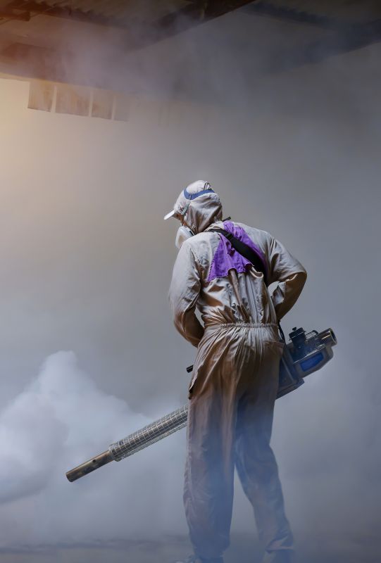 Pest Fumigation Service in Fort Collins, CO