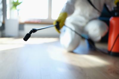 Pest Fumigation Service in Gwinnett County, GA