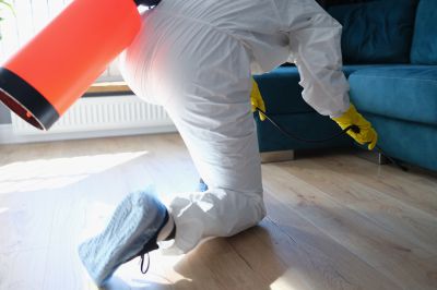 Roach Fumigation in Long Island, NY