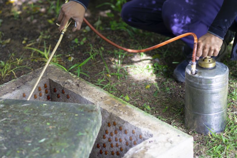 Roach Fumigation in Asheville, NC