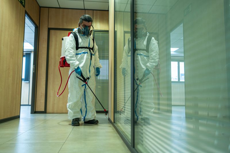 Roach Fumigation in Naperville, IL