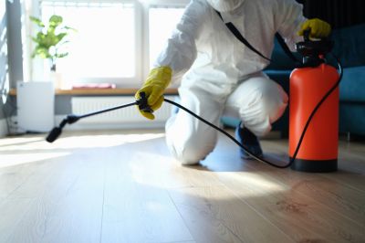 Spider Control Service in Mckinney, TX