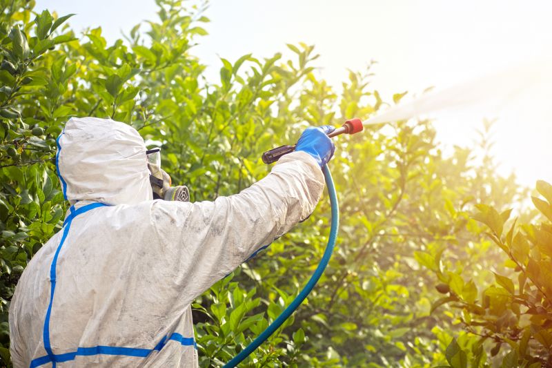 Spider Fumigation Service in Columbus, OH