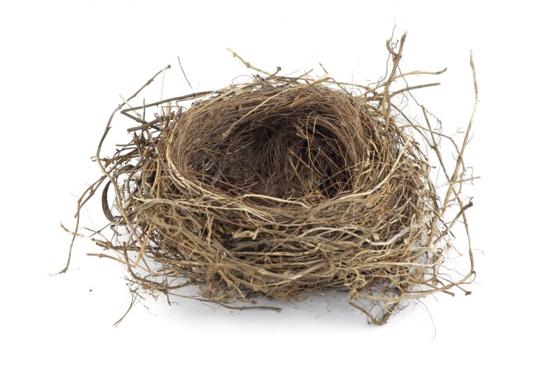 When Bird Nests Become A Ventilation And Fire Safety Issue